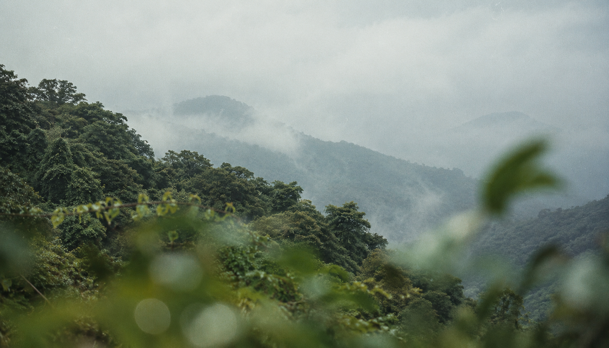 Tropical Clean: A Southeast Asia-Friendly Ritual That Stays Close to Skin